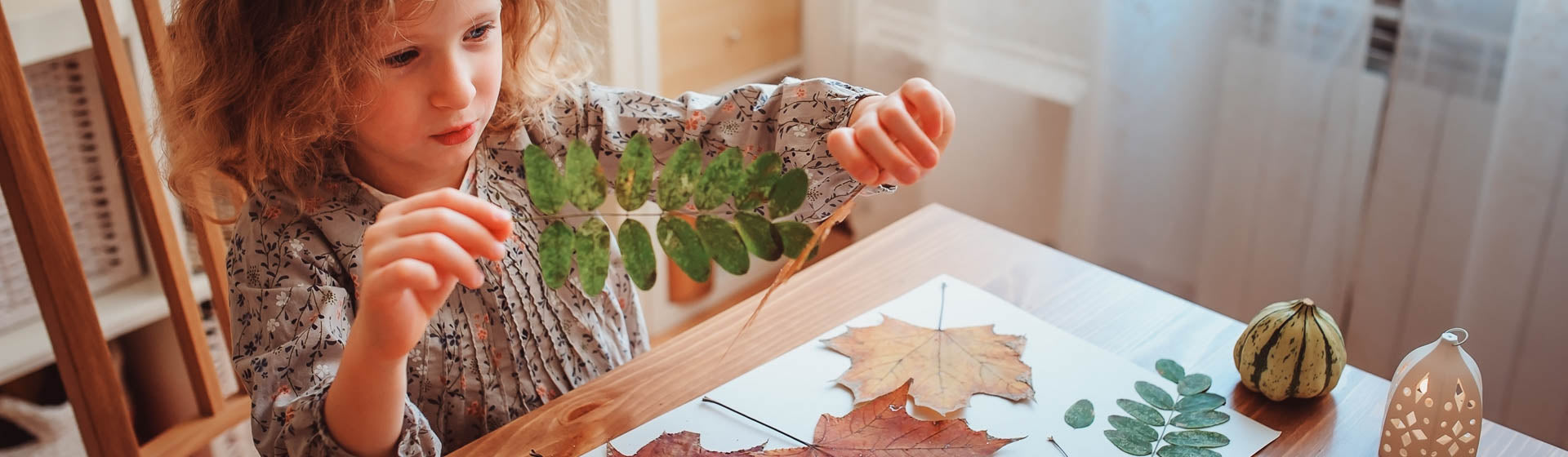 Herbstliches Abenteuer: Gemeinsam ein Herbarium gestalten