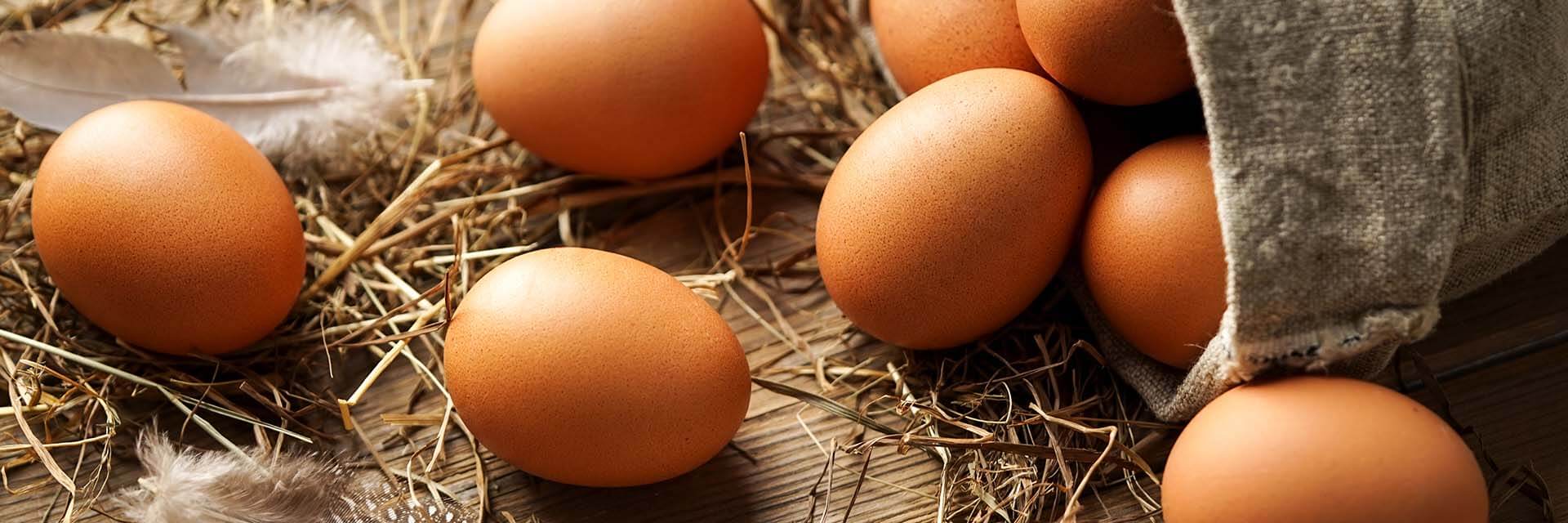 Hühnereiallergie bei Kindern