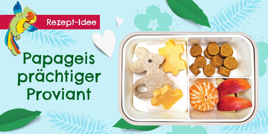 Pausenbox: Papageis prächtiger Proviant