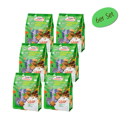 Bio Frühstücks Kissen - FruchtBar Pausenfreund - 6er Vorratspack - Vorderseite