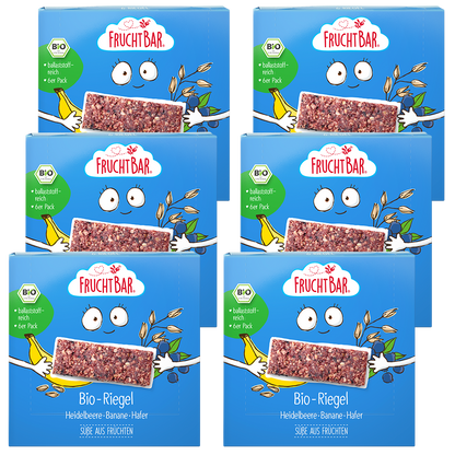Bio Riegel Heidelbeere, Banane, Hafer - FruchtBar - 6er Vorratspack - Vorderseite