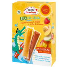 Bio Eis Sticks - Fruchtbar Pausenfreund - Einzelstück - Vorderseite 