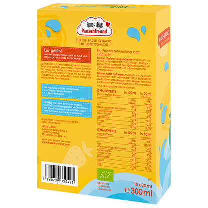 Bio Eis Sticks - FruchtBar Pausenfreund - Einzelstück - Rückseite 