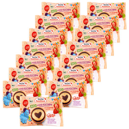 Bio Mini Kuchen-Fruchtbar Pausenfreund-Vorratspack-Vorderseite