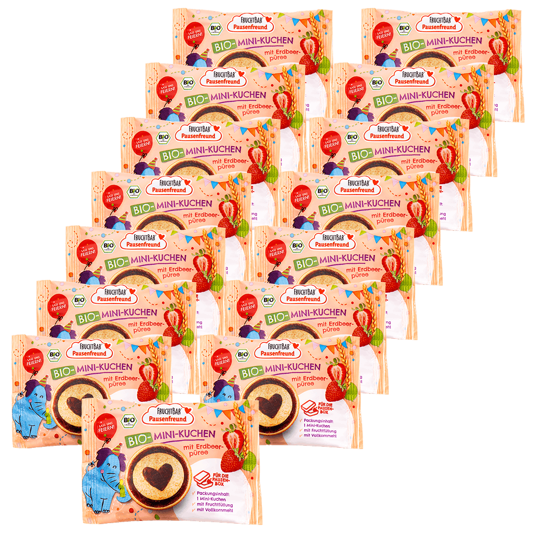 Bio Mini Kuchen-Fruchtbar Pausenfreund-Vorratspack-Vorderseite