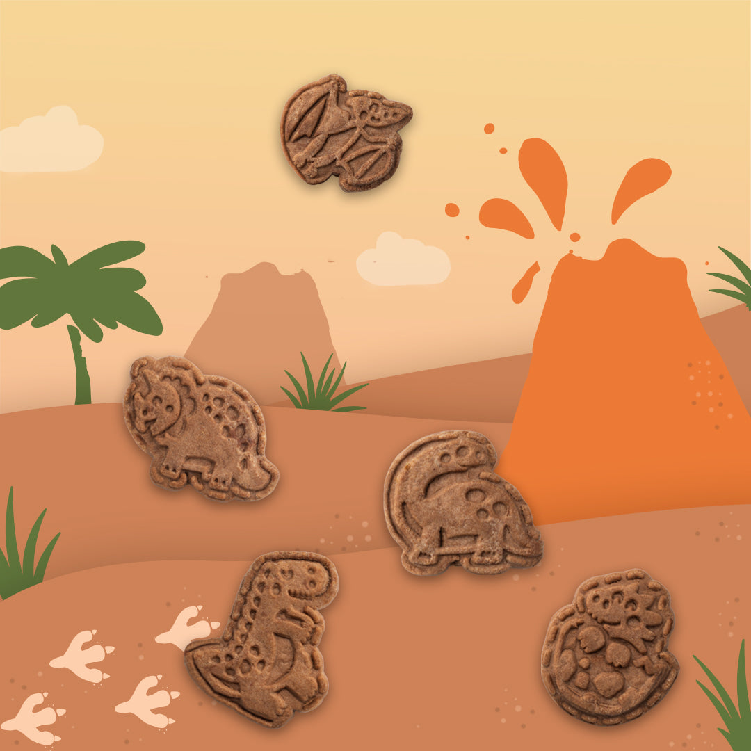 Die Formen der Bio Kakao Kekse als verschiedene Dino-Arten vor einer vulkanischen Landschaft in orange, braun und grün. 